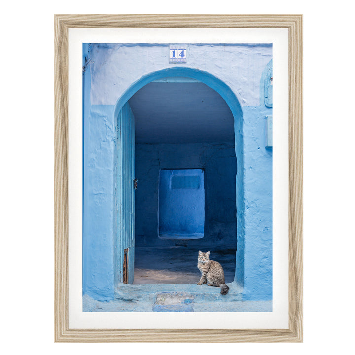 Cat in the Blue Doorway, Chefchaouen, Morocco fine art print in a natural wood frame with white mat