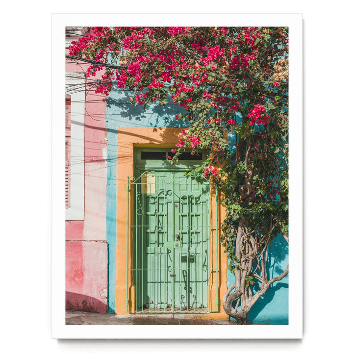 Bougainvillea and Green Door I, Olinda, Brazil print in a white frame without mat