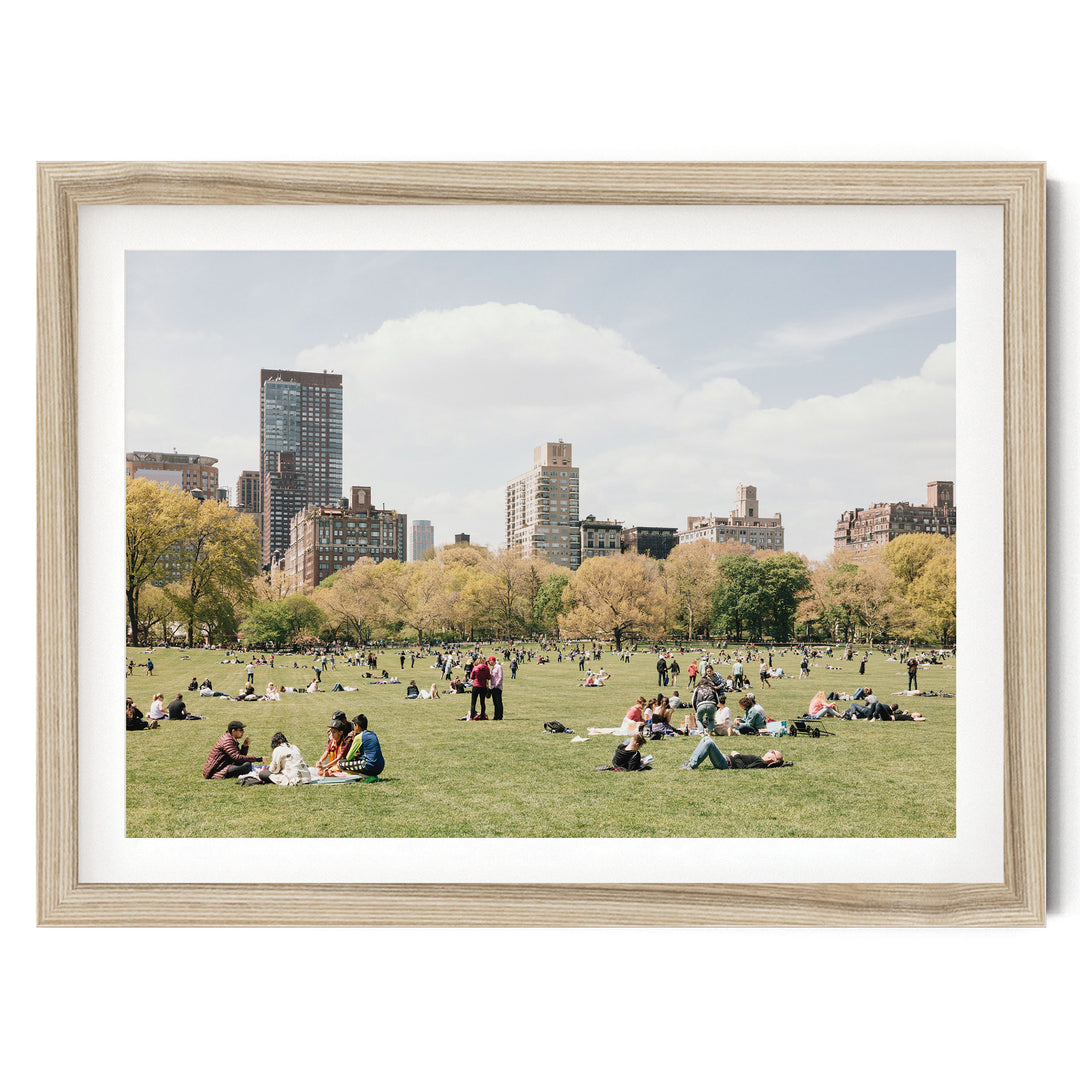 Sheep Meadow, Central Park, New York City fine art print in a natural wood frame with white mat