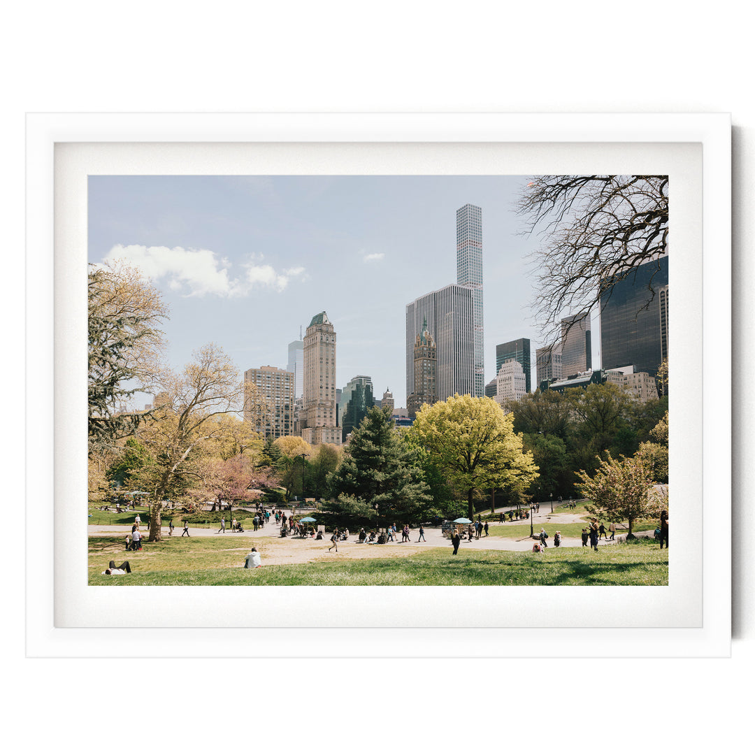 Central Park and Billionaires&
