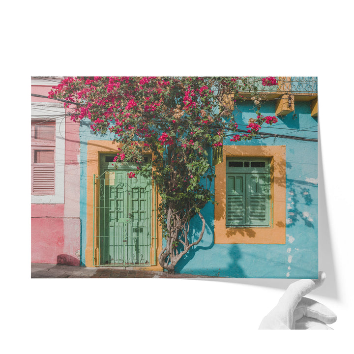 Bougainvillea and Green Door II, Olinda, Brazil unframed print on matte fine art paper