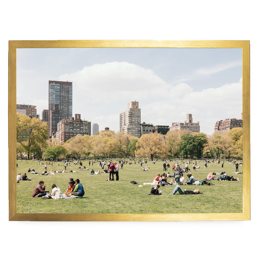 Sheep Meadow, Central Park, New York City print in a gold frame without mat