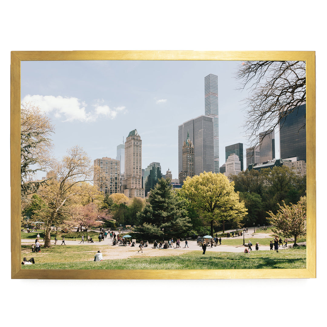 Central Park and Billionaires&