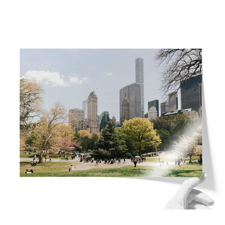 Central Park and Billionaires&