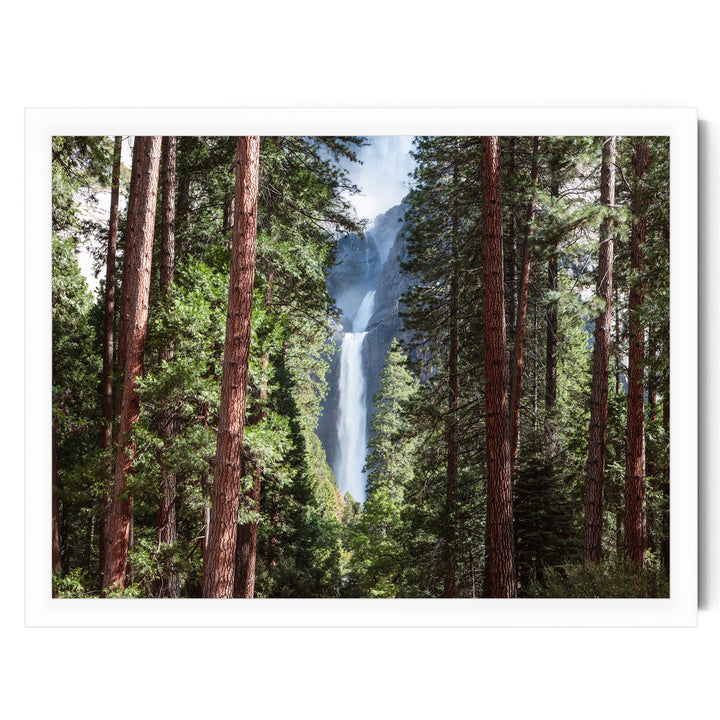 A lush forest with tall trees framing a majestic waterfall cascading down the rocky cliffs.