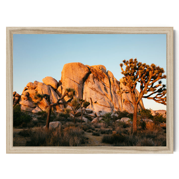 A framed photograph depicting a desert landscape with a large rock formation in the background and a tree in the foreground.