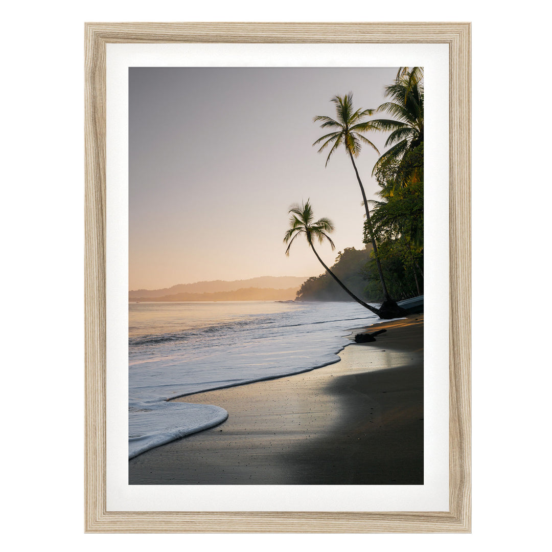 A serene beach scene at sunset, with palm trees lining the shore and the calm ocean gently lapping against the sand.