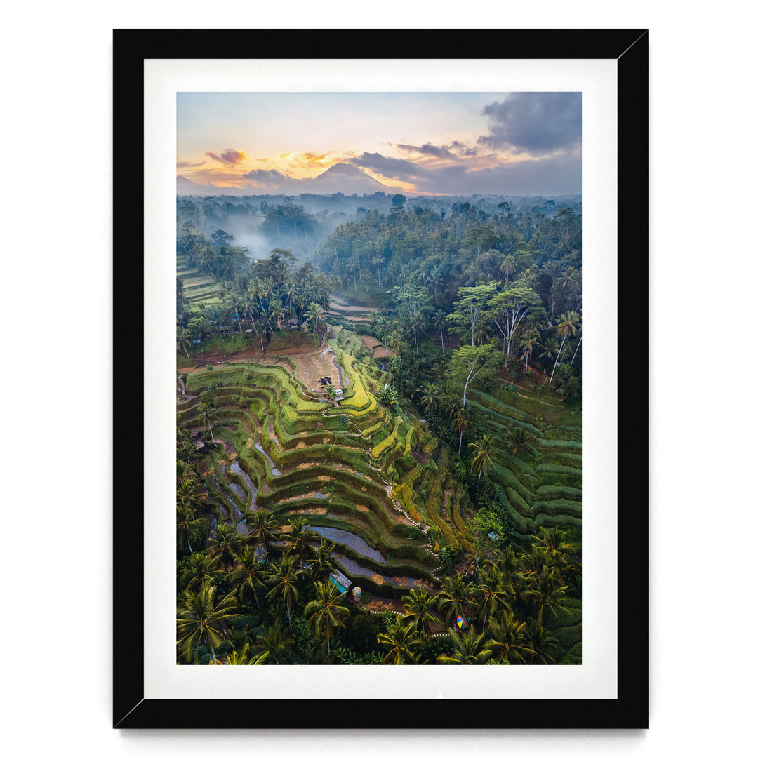 a lush, tropical landscape with terraced rice fields, palm trees, and a mountain range in the distance, all bathed in the warm glow of a sunset.