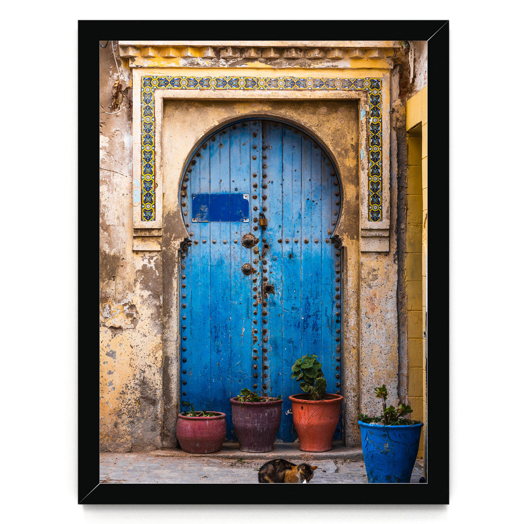 a blue wooden door with a decorative archway, surrounded by potted plants and a cat sitting on the ground in front of the door.