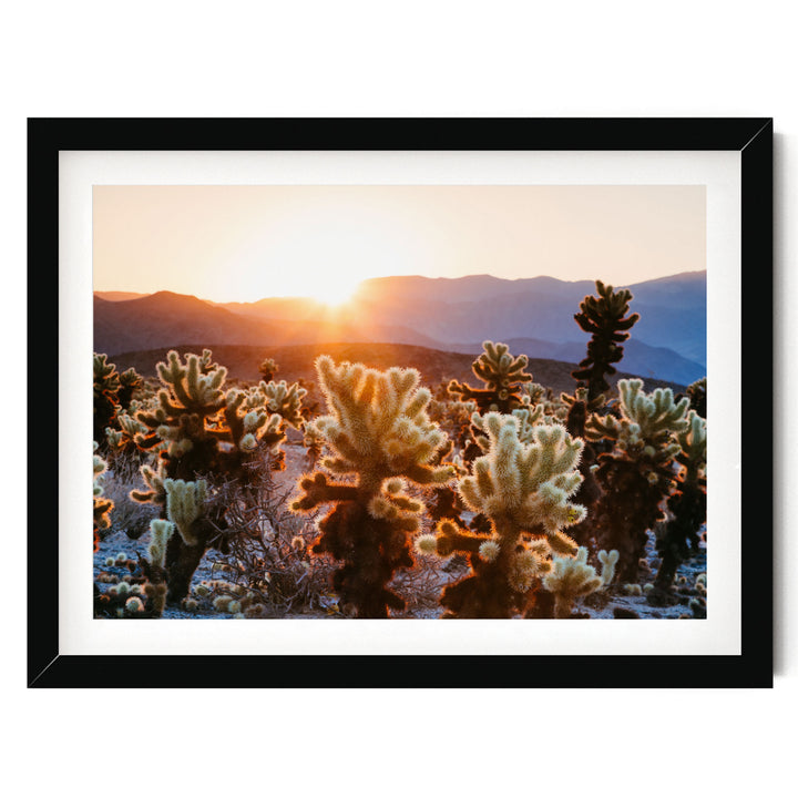 A framed photograph depicting a desert landscape with a sunset in the background, featuring a variety of cacti and shrubs.