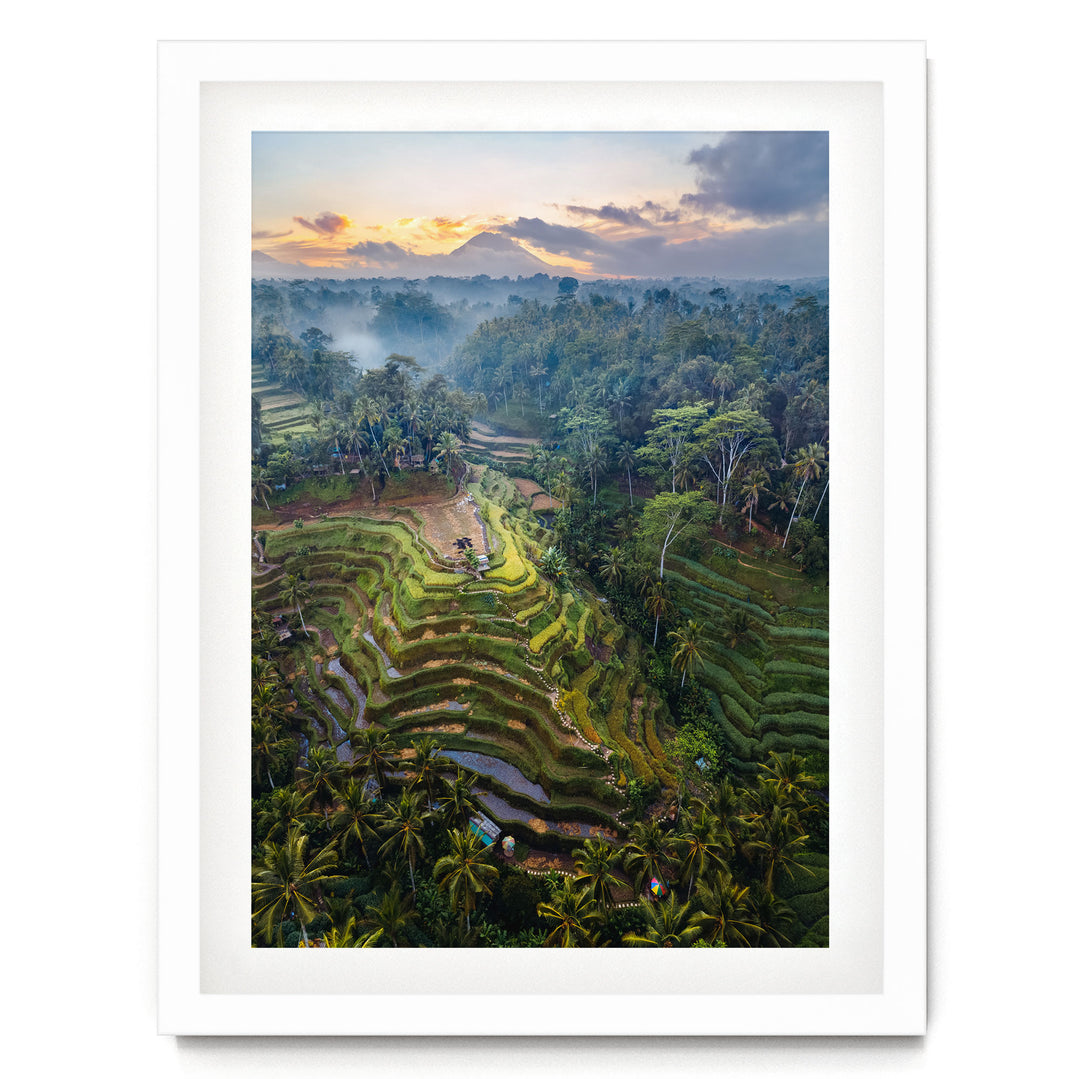 a lush, tropical landscape with terraced rice fields, palm trees, and a mountain range in the distance, all bathed in the warm glow of a sunset.