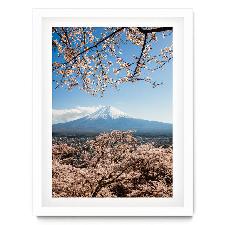 A snow-capped mountain peak rises majestically against a clear blue sky, with cherry blossom trees in full bloom framing the view.