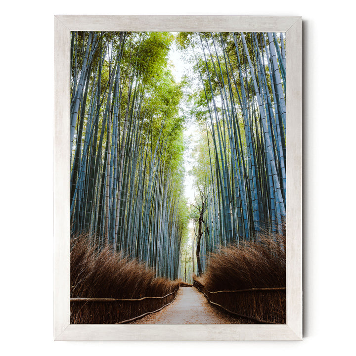 A serene bamboo forest path, lined with tall, slender green and brown bamboo stalks, leading the viewer's eye deeper into the lush, verdant landscape.
