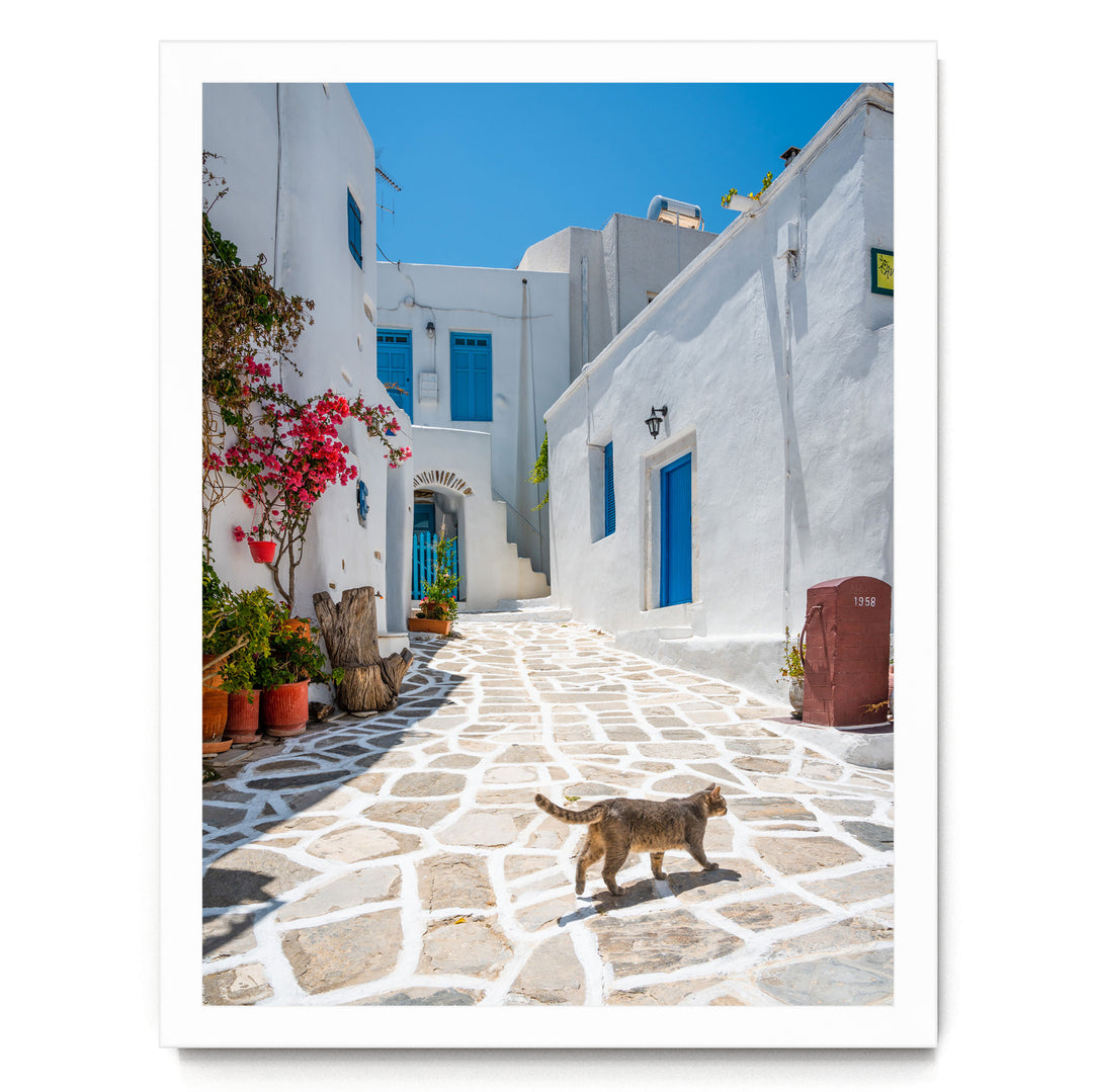 A charming white building with blue accents, surrounded by a cobblestone street and vibrant flowers, with a cat walking along the path.