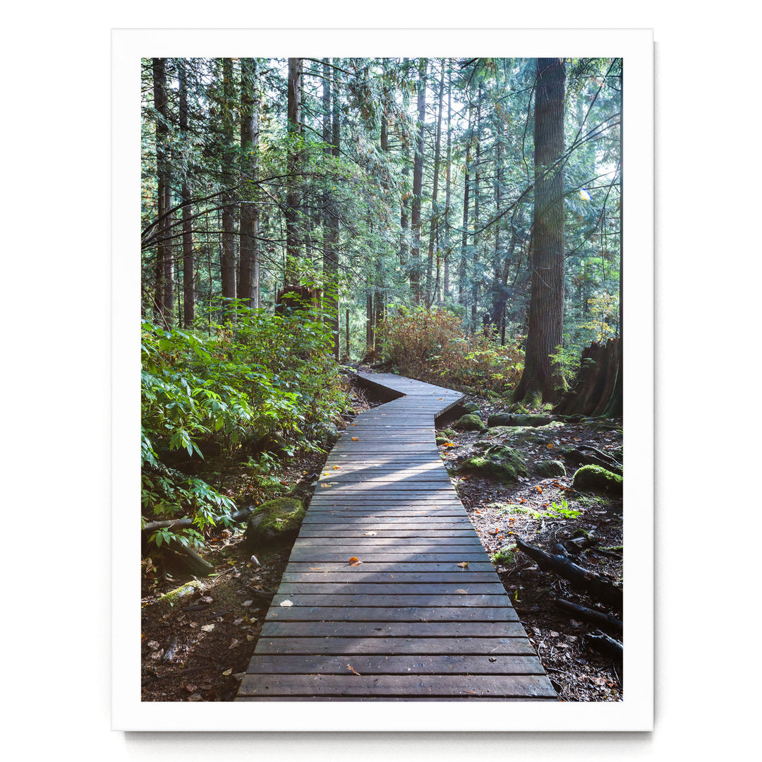 A wooden boardwalk winds through a lush, green forest, surrounded by tall trees and fallen leaves on the ground.