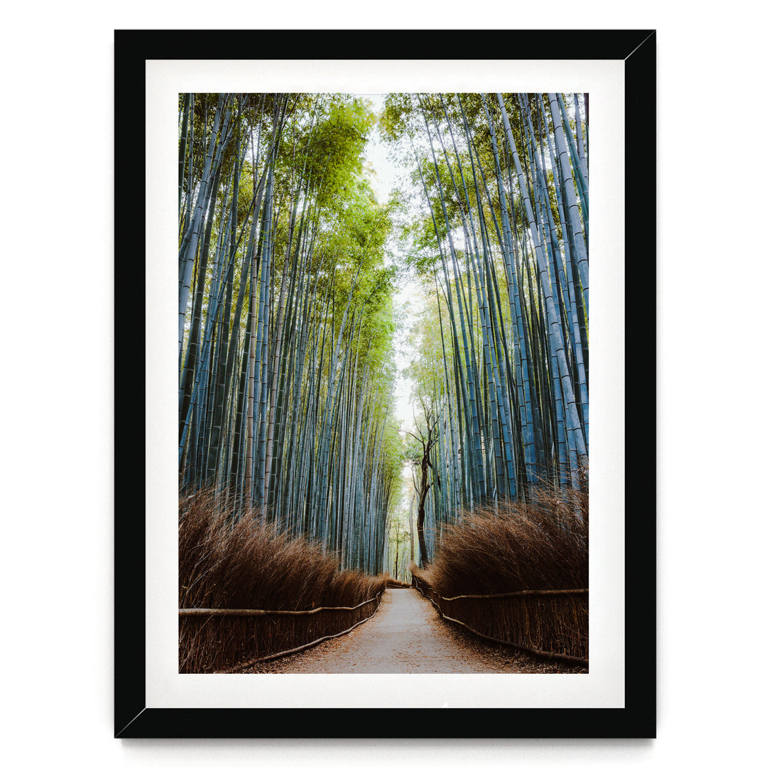 A path lined with tall, slender bamboo stalks leads through a serene forest, creating a sense of depth and tranquility.