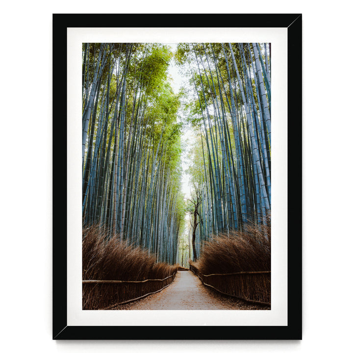 A path lined with tall, slender bamboo stalks leads through a serene forest, creating a sense of depth and tranquility.