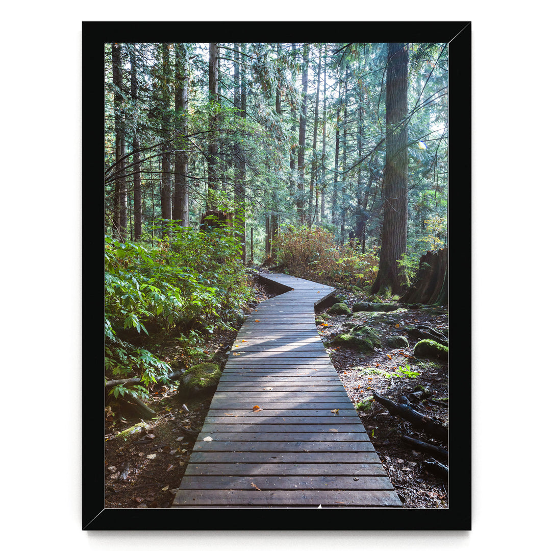 A wooden boardwalk winds through a lush, green forest, surrounded by tall trees and fallen leaves on the ground.