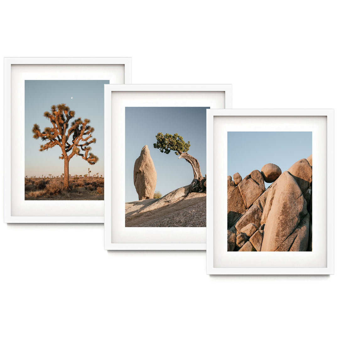 three pictures of rocks and a tree on a white background