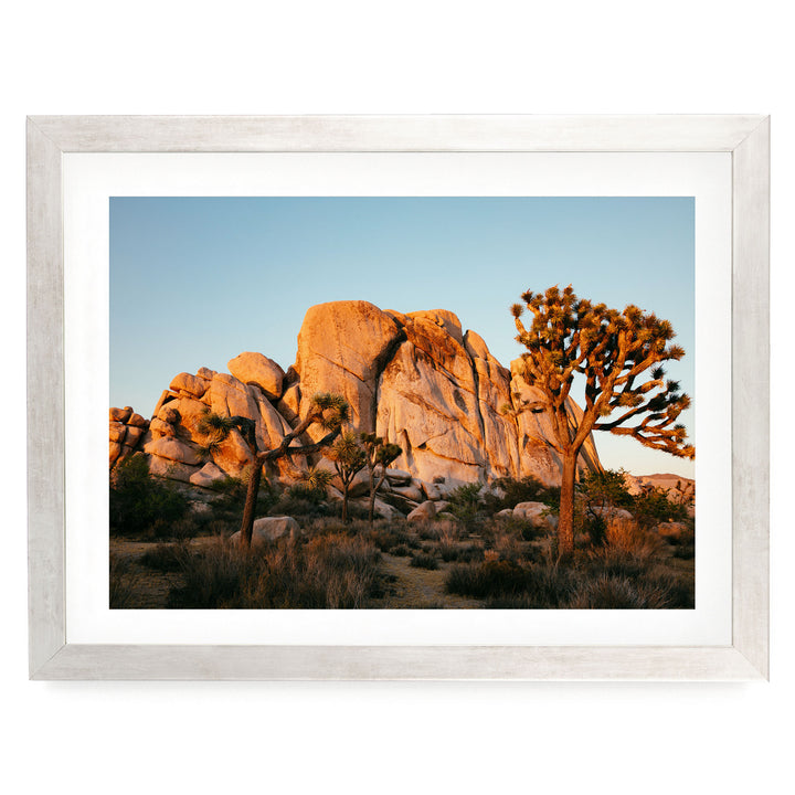 A framed photograph depicting a desert landscape with a large rock formation in the background and a tree in the foreground.
