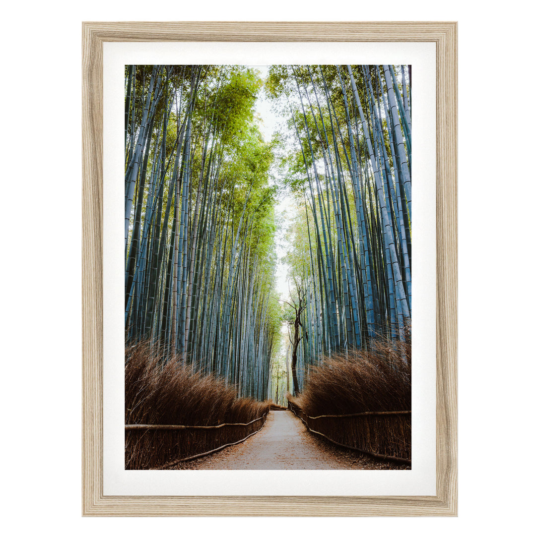 A serene bamboo forest path lined with tall, slender stalks and lush green foliage, leading the viewer's eye deeper into the tranquil scene.
