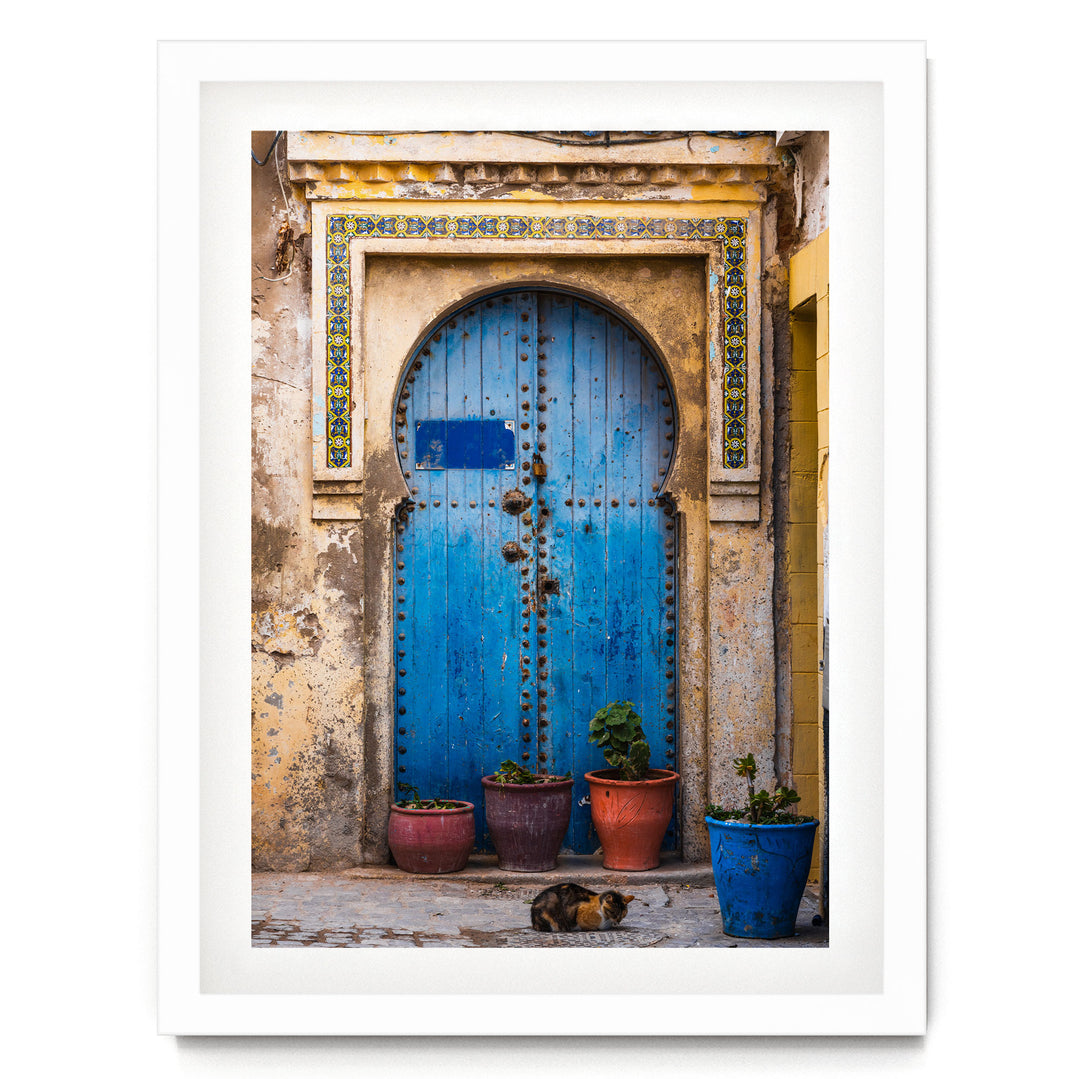 A blue wooden door with a decorative archway, flanked by three potted plants, with a cat resting on the ground in front of the door.