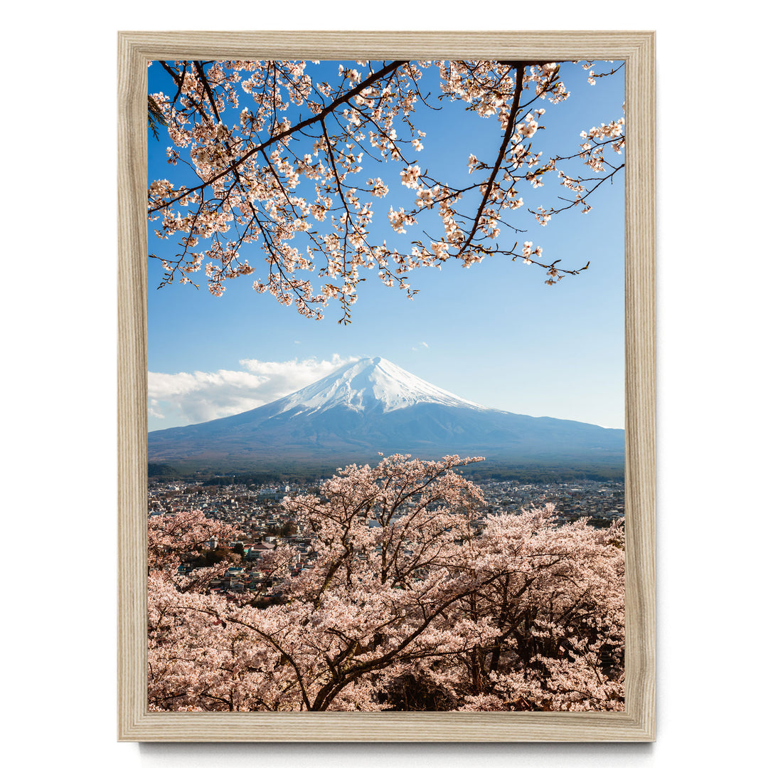 A framed photograph of cherry blossoms in full bloom, framing the majestic Mount Fuji in the background against a clear blue sky.