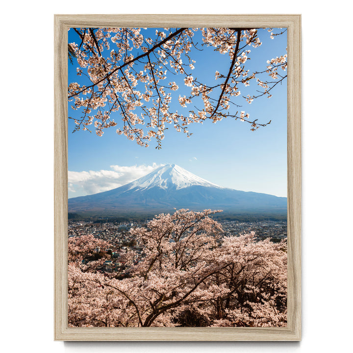 A framed photograph of cherry blossoms in full bloom, framing the majestic Mount Fuji in the background against a clear blue sky.