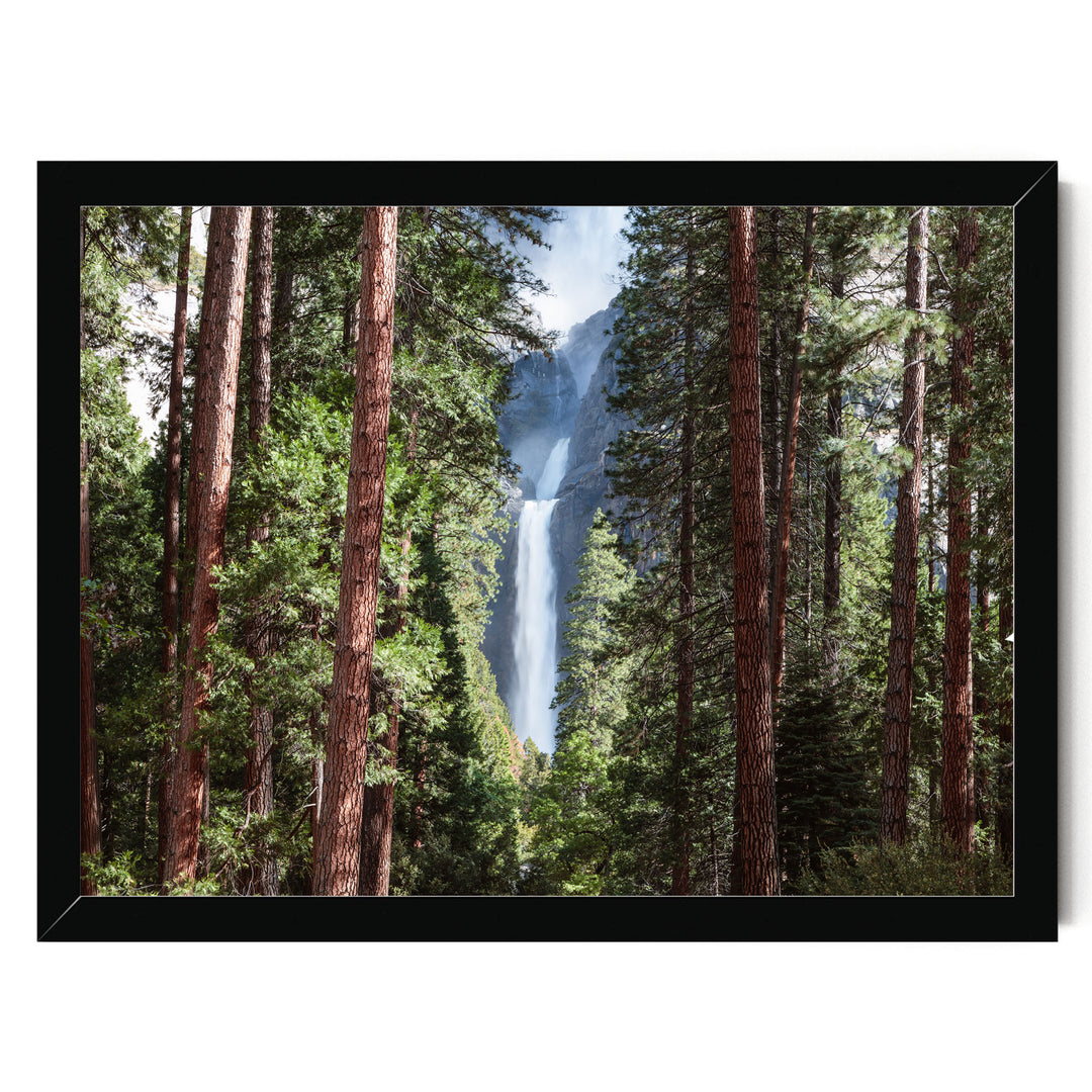 A lush forest with tall trees framing a majestic waterfall cascading down the rocky cliffs.