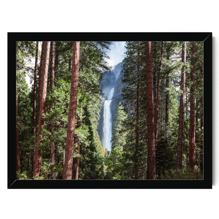A lush forest with tall trees framing a majestic waterfall cascading down the rocky cliffs.