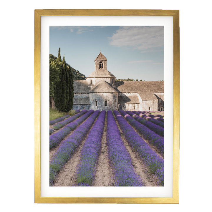Sénanque Abbey, Provence, France – fine art print in a gold frame with white mat