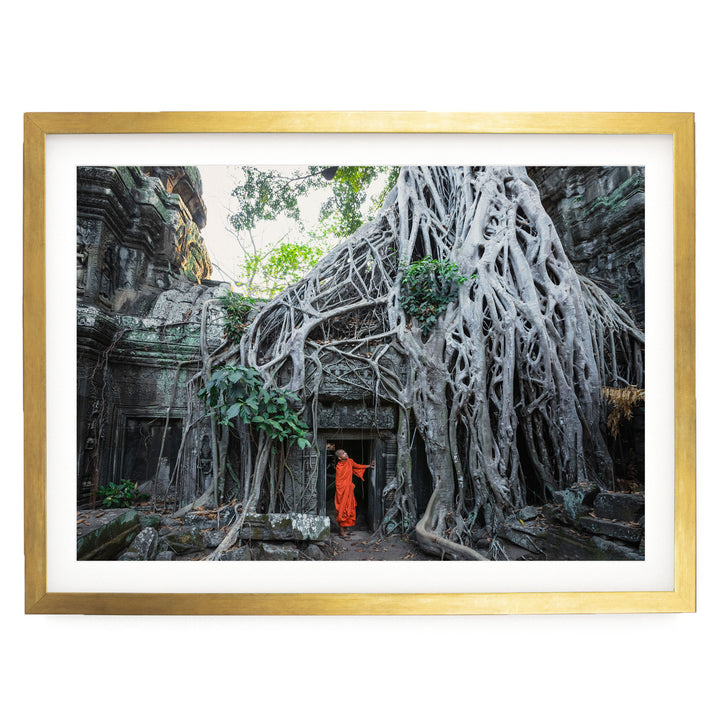 Monk at Ta Prohm, Angkor, Cambodia – fine art print in a gold frame with white mat