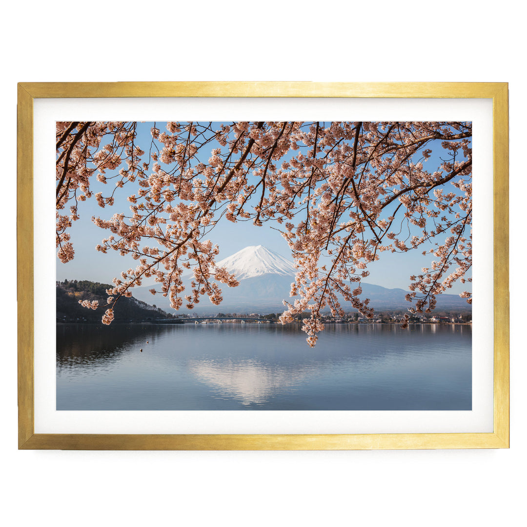 Fuji Five Lakes II, Japan – fine art print in a gold frame with white mat