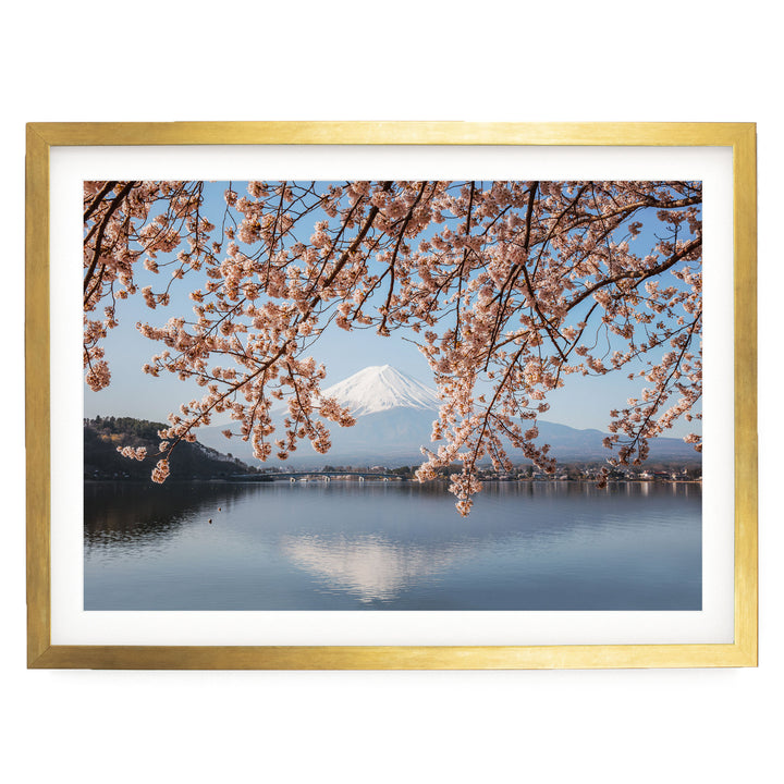 Fuji Five Lakes II, Japan – fine art print in a gold frame with white mat