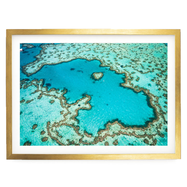 Great Barrier Reef, Queensland, Australia – fine art print in a gold frame with white mat
