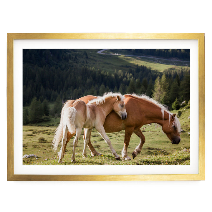 Wild Horses – fine art print in a gold frame with white mat