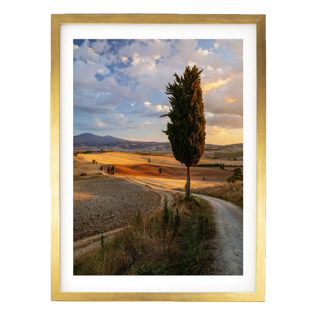 Tuscany at Sunset, Italy – fine art print in a gold frame with white mat