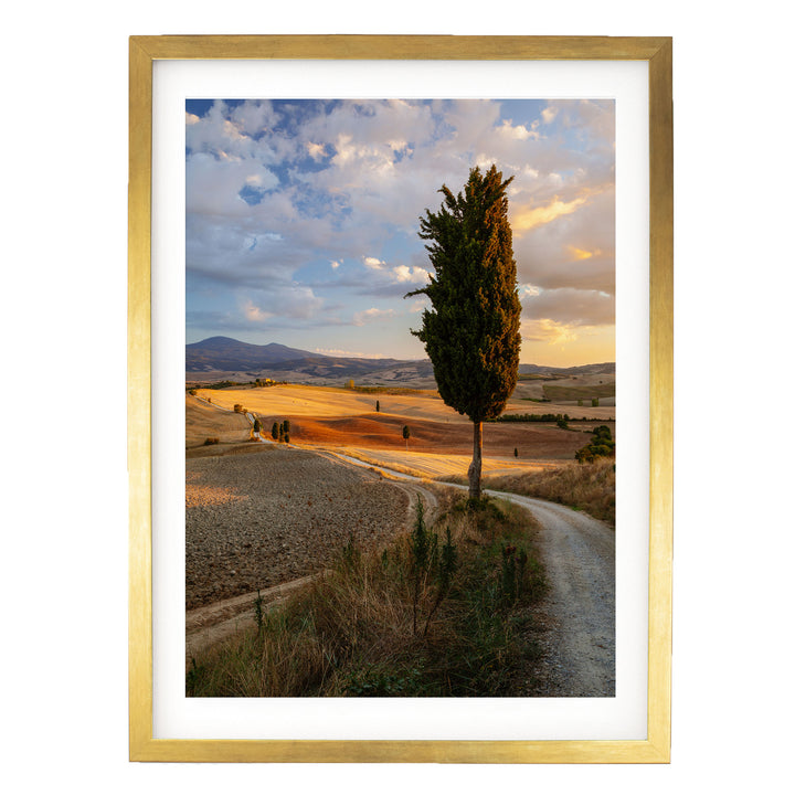 Tuscany at Sunset, Italy – fine art print in a gold frame with white mat