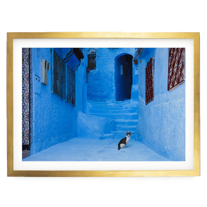 Cat in the Blue City, Chefchaouen, Morocco – fine art print in a gold frame with white mat