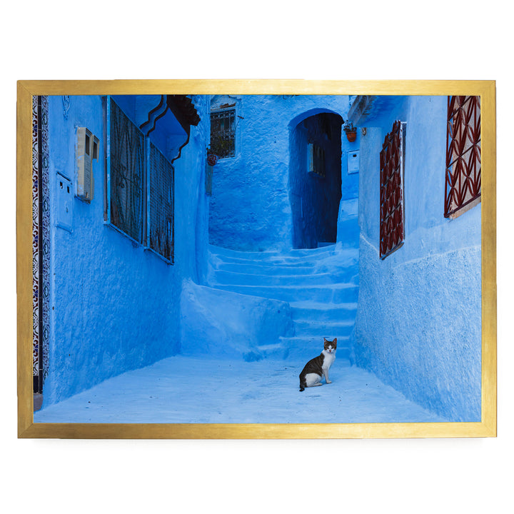 Cat in the Blue City, Chefchaouen, Morocco – fine art print in a gold frame, no mat