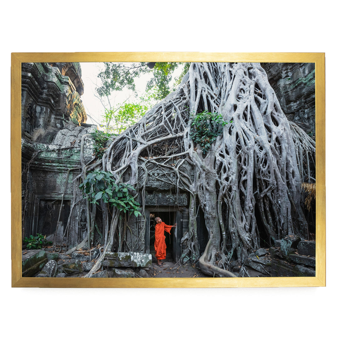 Monk at Ta Prohm, Angkor, Cambodia – fine art print in a gold frame, no mat