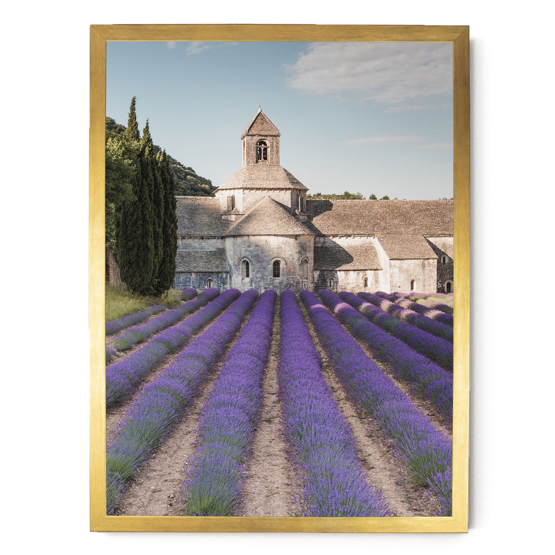 Sénanque Abbey, Provence, France – fine art print in a gold frame, no mat