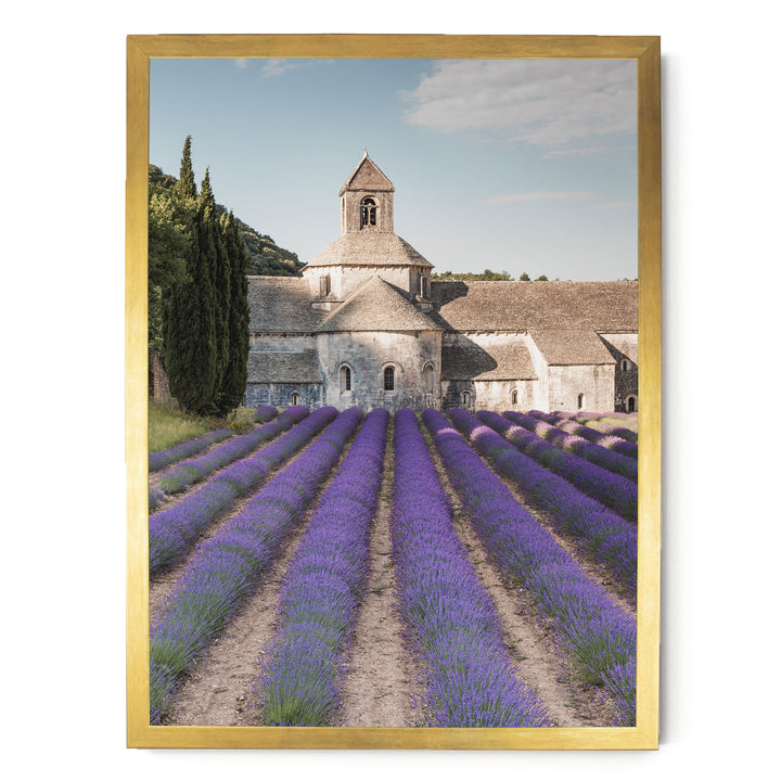 Sénanque Abbey, Provence, France – fine art print in a gold frame, no mat