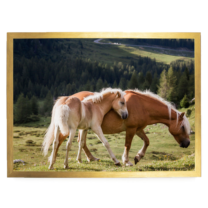 Wild Horses – fine art print in a gold frame, no mat