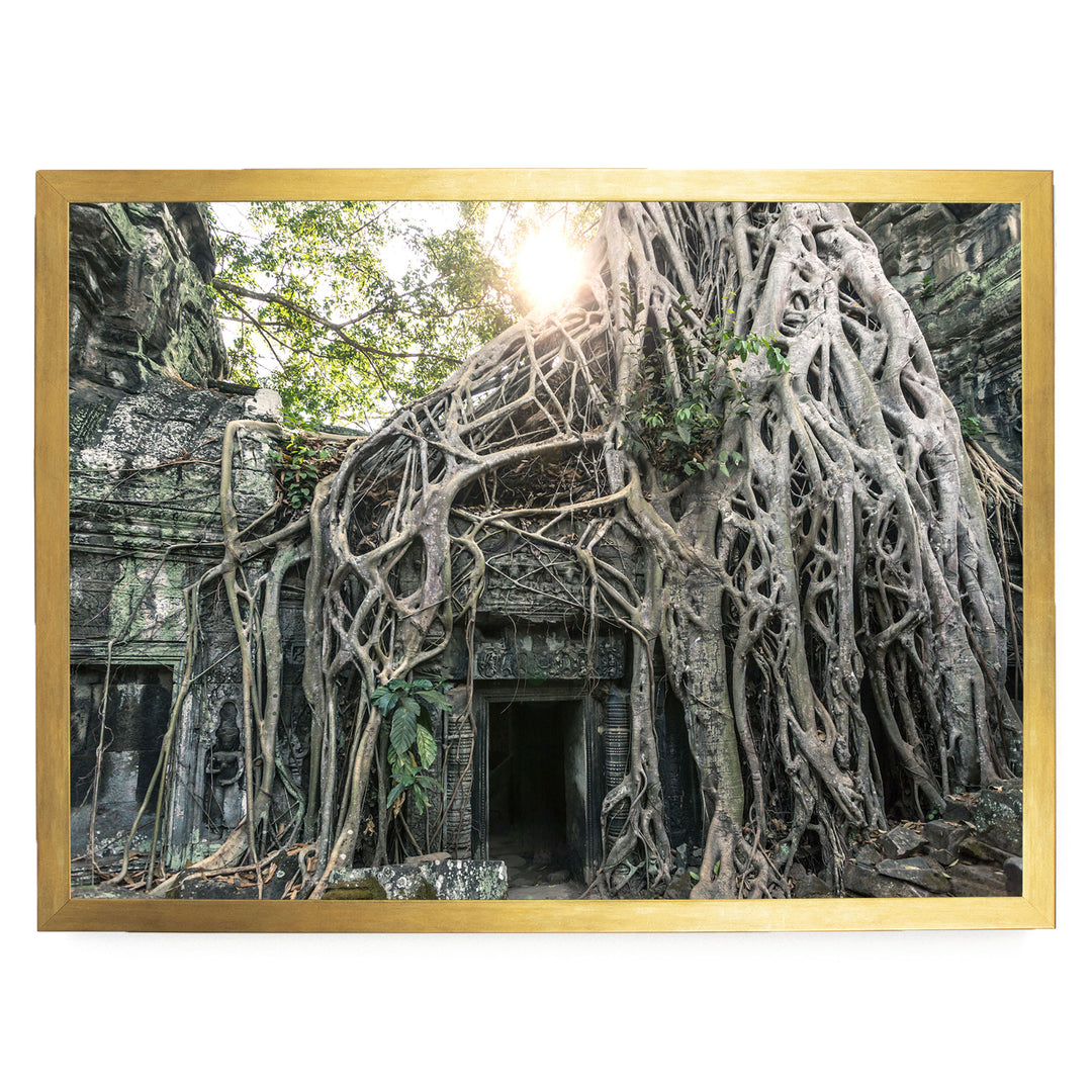 Jungle Temple, Angkor, Cambodia – fine art print in a gold frame, no mat