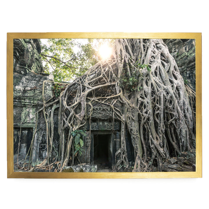 Jungle Temple, Angkor, Cambodia – fine art print in a gold frame, no mat