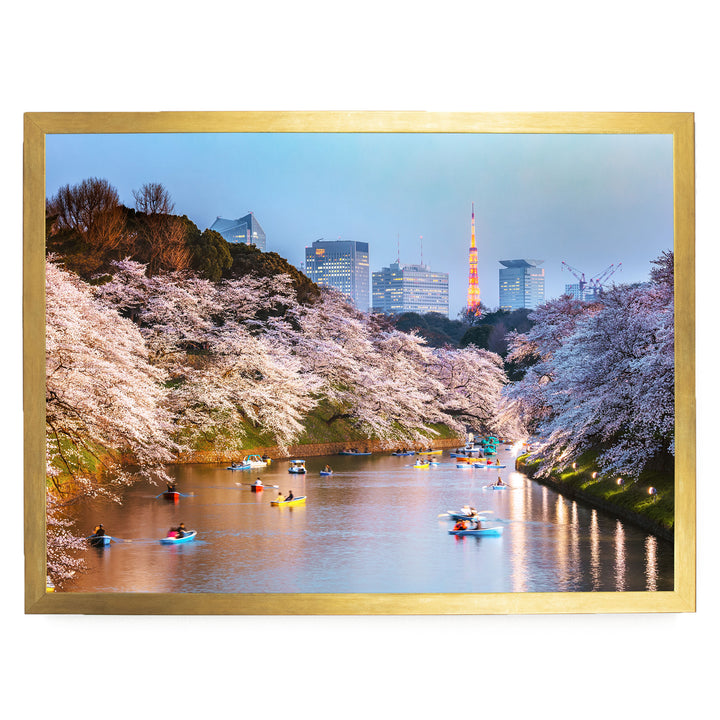 Cherry Blossoms in Tokyo, Japan – fine art print in a gold frame, no mat