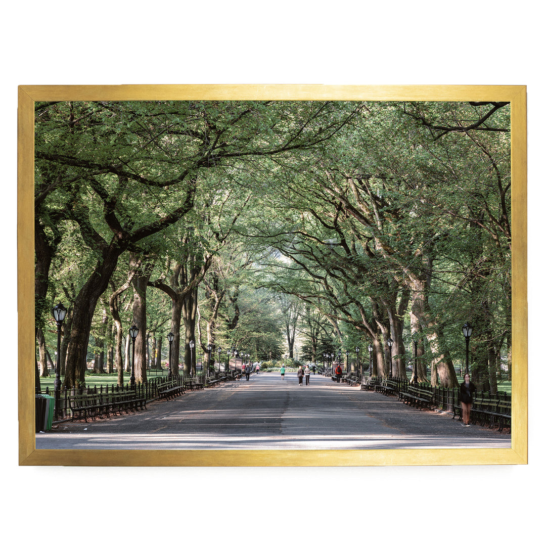 The Mall, Central Park, New York City – fine art print in a gold frame, no mat