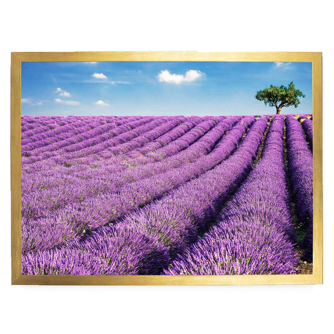 Summer in Provence, France – fine art print in a gold frame, no mat