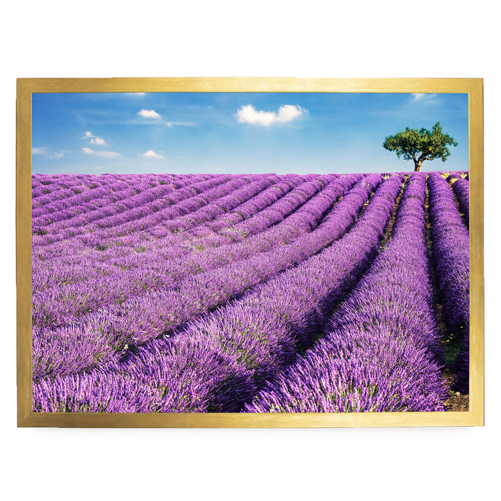 Summer in Provence, France – fine art print in a gold frame, no mat